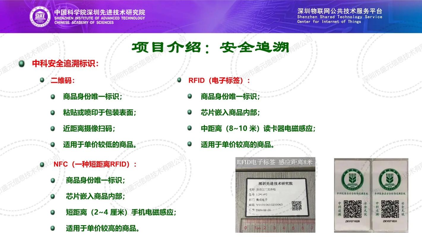 深圳信息技术公司 以创新驱动数字未来